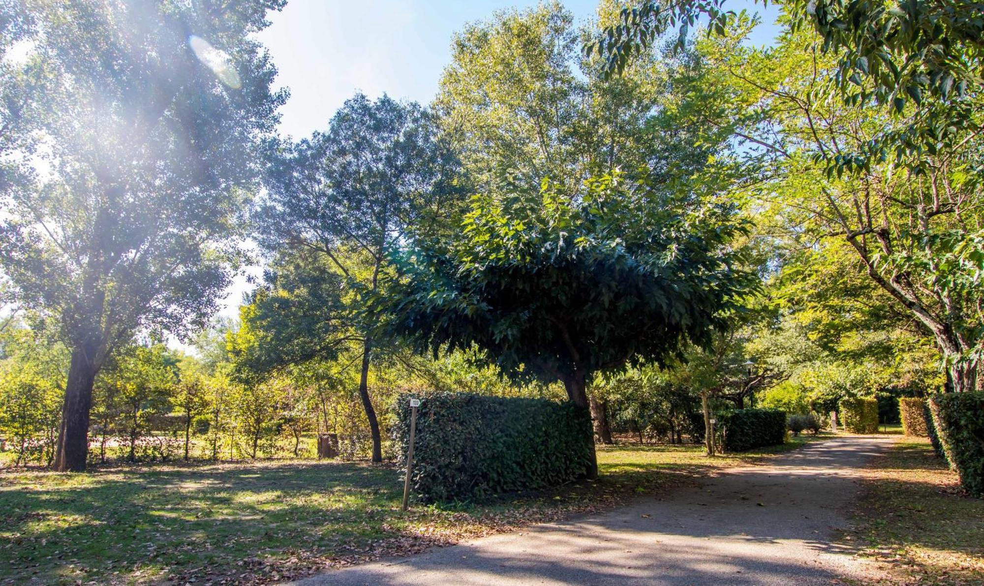 Hotel Du Cros D'Auzon Saint-Maurice-dʼArdèche 外观 照片